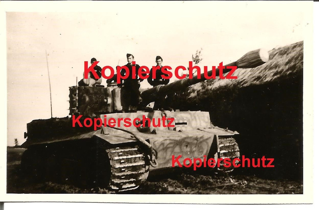 Foto Tiger Panzer Abteilung 501 Turmnummer 331 Rußland Witebsk- 