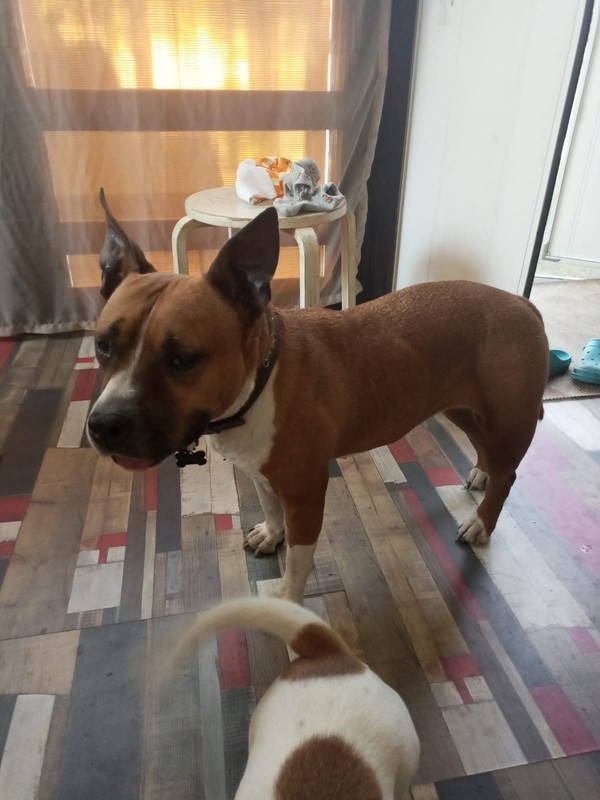 WhatsApp Image 2022-08-13 at 17.28.05 (3)