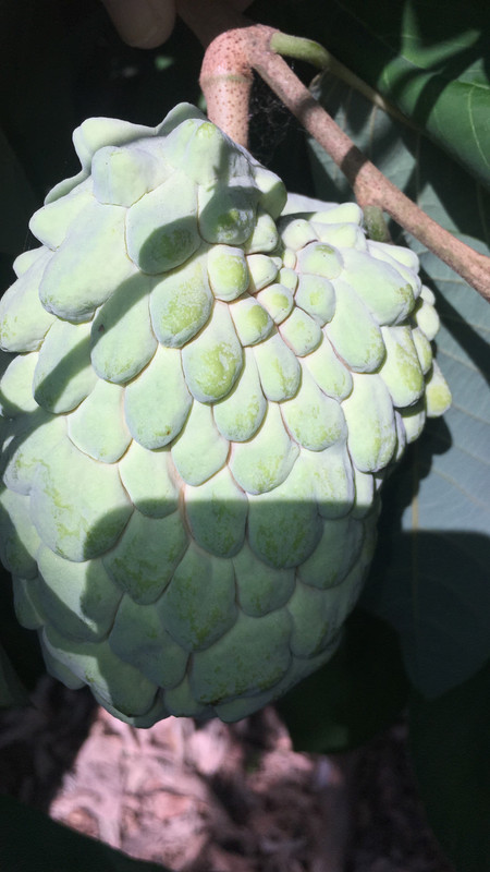 D0C02248-DBA6-4EF7-8D50-A4FCF1A37CC6