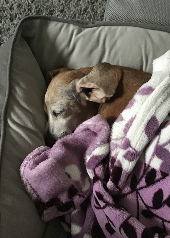 [Image: 128-DC38-D-74-C2-4-D5-C-89-A6-B60491530-CF4.jpg]