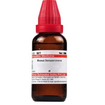 Willmar Schwabe India Buxus Sempervirens 1X (Q) (30ml)