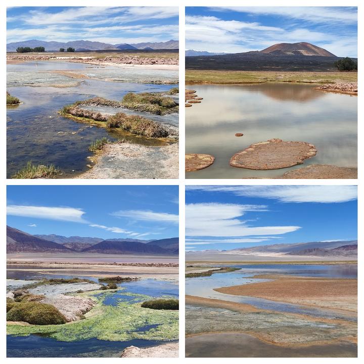 CAMPO DE PIEDRA POMEZ. LAGUNA, VOLCAN Y SALAR CARACHI PAMPA. - ARGENTINA INFINITA II/ TORRES DEL PAINE (15)