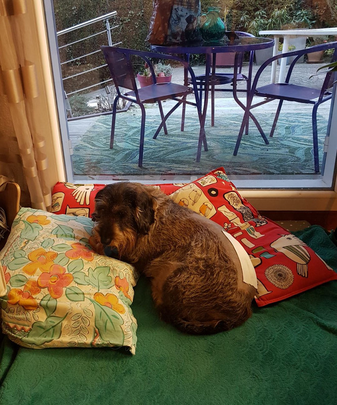 [Image: IMG-20250330-140055.jpg]