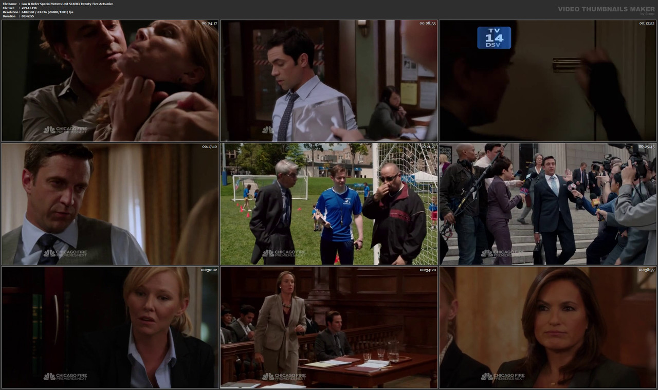Law & Order Special Victims Unit S14E03 Twenty-Five Acts.mkv
