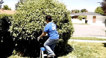 failure-doesnt-spare-anyone-25.gif