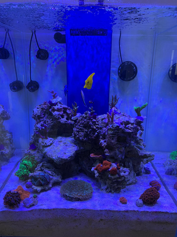 839E4D7A-27F9-43CD-8A7E-18DF01360B17