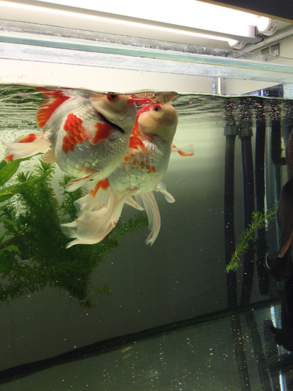 8271316A-2069-4BF7-9FB5-F0C632061BD1