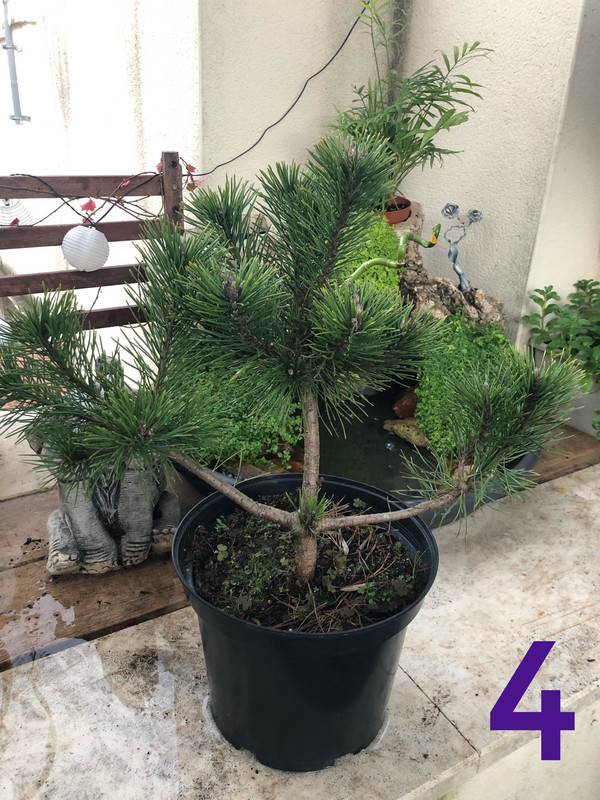 3D46B8E4-BF4D-4785-A733-7CFBDF4A184A