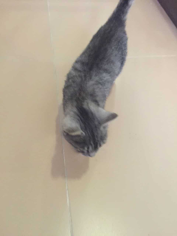 WhatsApp Image 2016-11-01 at 12.34.35 (1)