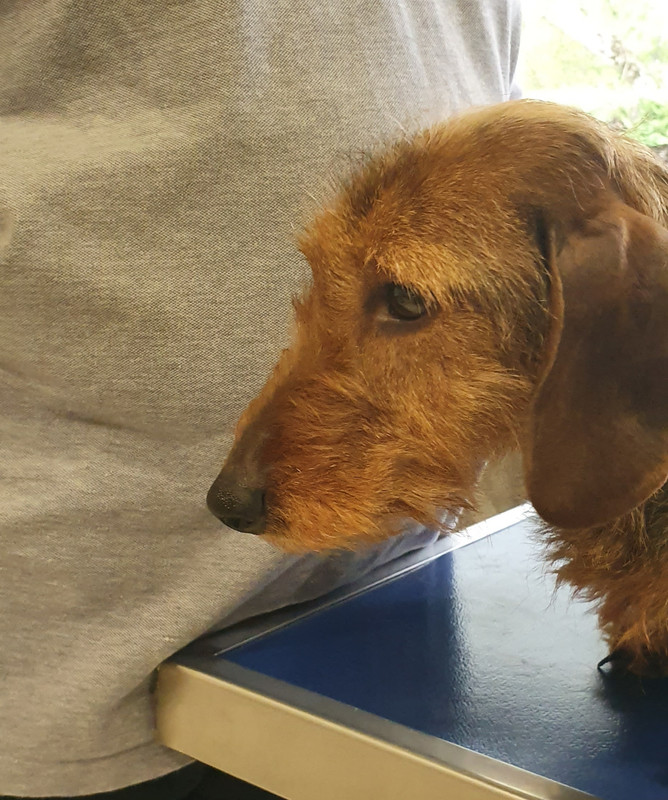 [Image: 20230509-185914.jpg]