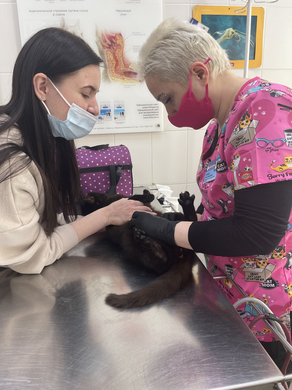 47AED314-9F3A-488E-BA53-BF1A7220DEC8