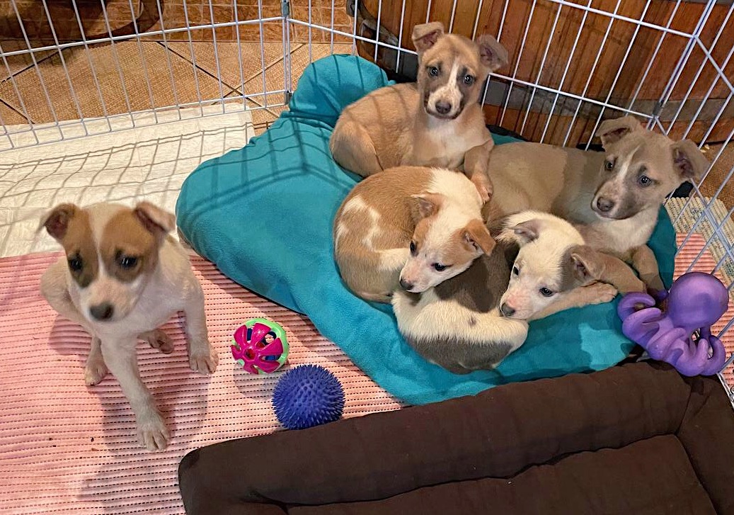 620552B7-E943-4F20-9249-44E66C698047