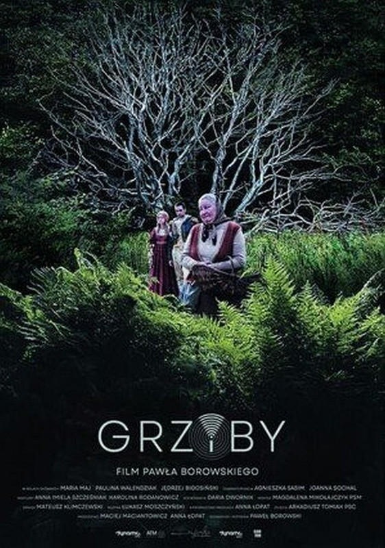 Grzyby (2023) PL.1080p.WEB-DL.x264-KiT / Polska Produkcja