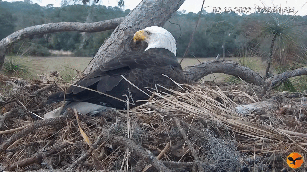 Webp.net-gifmaker (4)