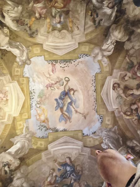 Milán-Turín-Génova-Pavía - Blogs de Italia - Génova, espectacular conjunto museístico (136)