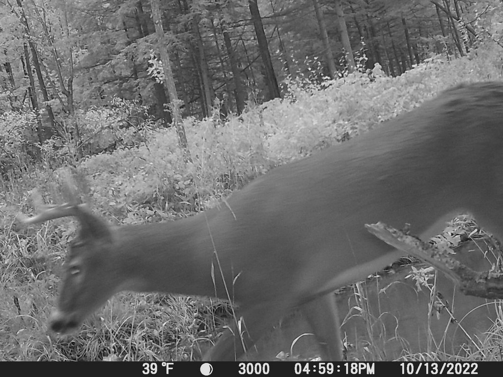 D68C42DC-5242-4A73-B595-2E379FC4E6B6