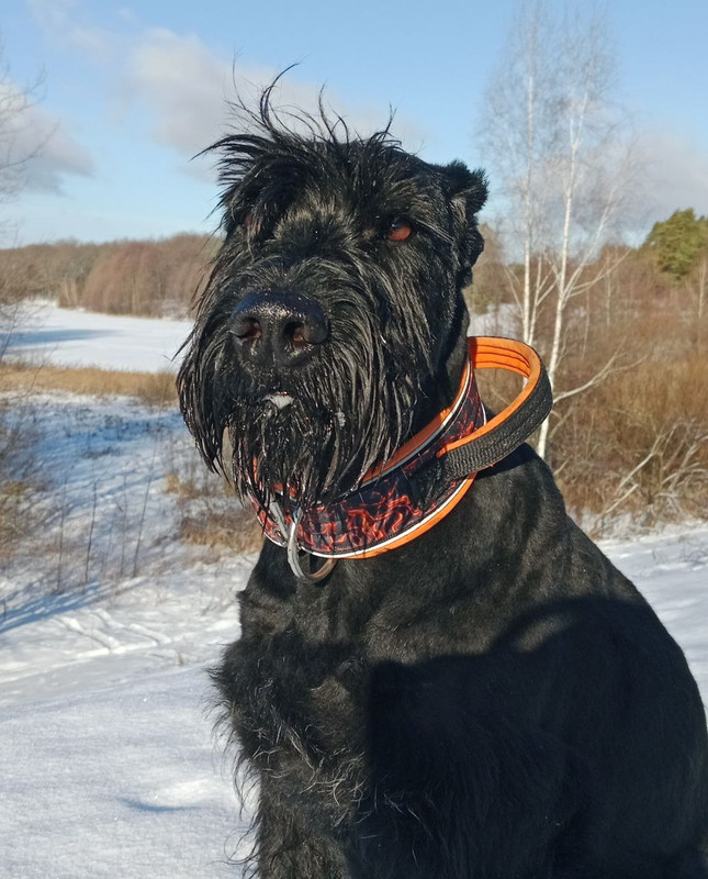 photo_2025-09-04_15-34-29 (5)