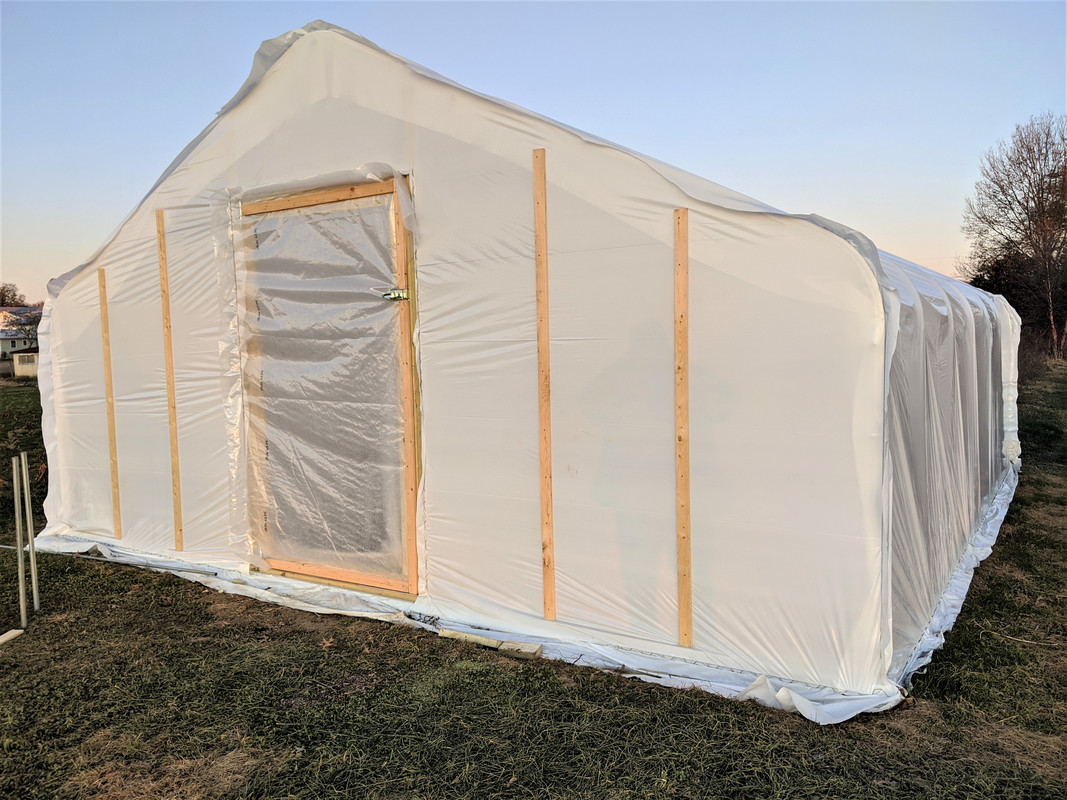 Nov 2019 cold frame