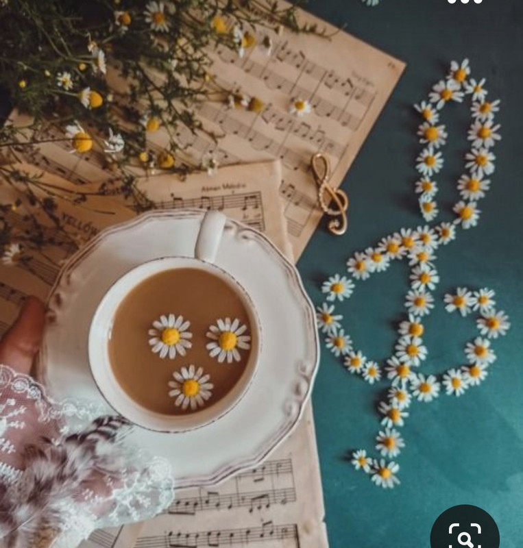 Screenshot_20230923_173257_Pinterest