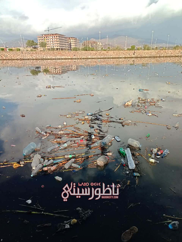 611753891-1548371316368141-5046362543028774666-n