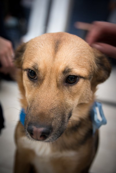 AFE74DC1-33DA-4AE0-8AAD-DCF1ED5C1754