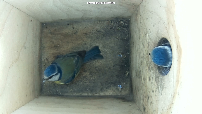 Untitled Project (Time 0_00_11;28)