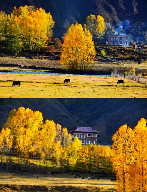 84e474e7a657b255471140bf120795b8