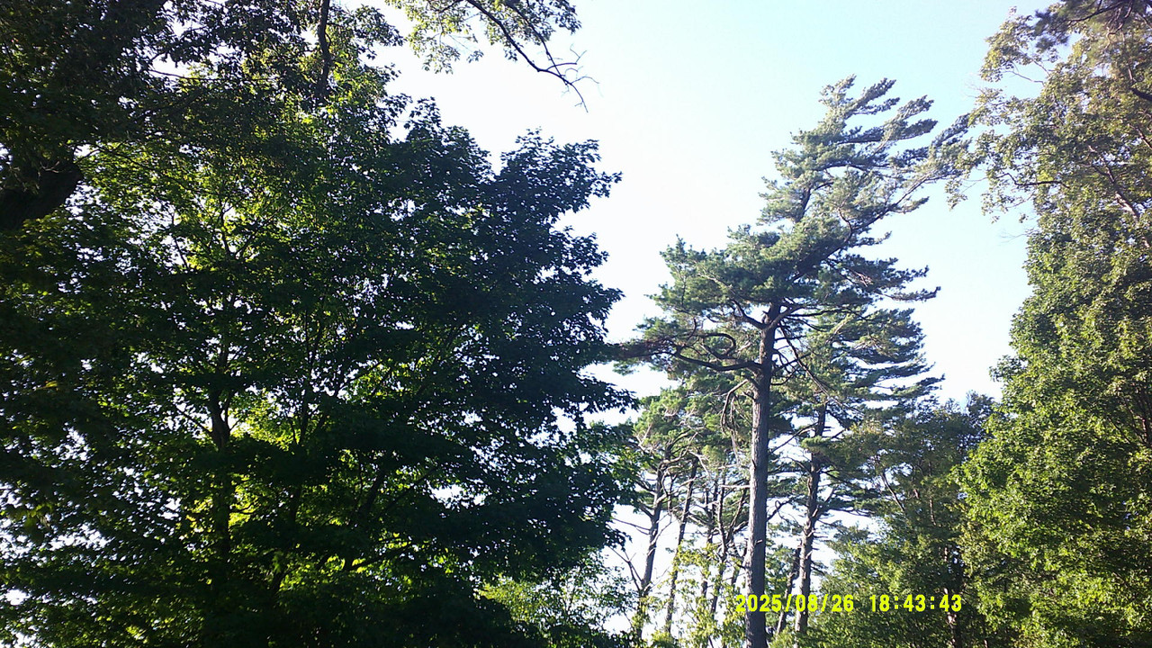 a green gradient