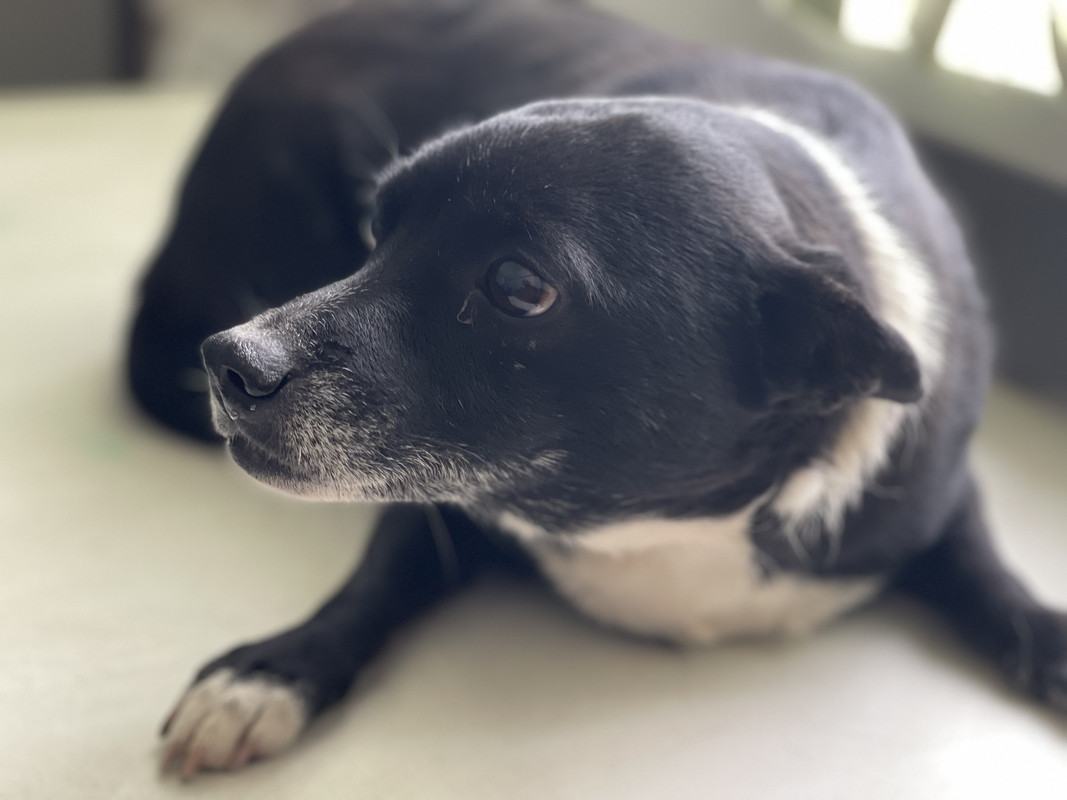 A7D5E12E-E571-49AD-AF99-B42D4545BB62