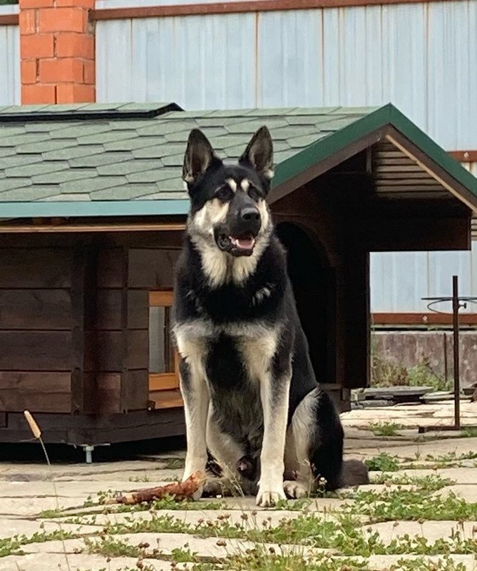 R6f2F96NBY6PEAPcIcZj41Lhc3YTtq_RldAPWJHms80Q0gVexIOu3GknsecYe2LZFVU8vHY27rcHbFzBYfR7qrvI