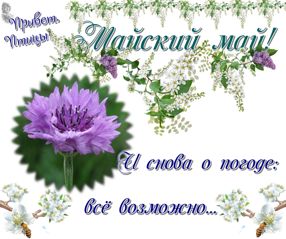 https://i.postimg.cc/15DRkr4q/20-05.png