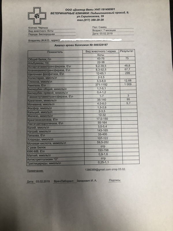 бак без ФИО Татьяны