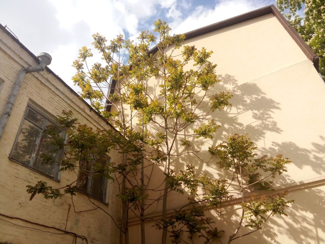 photo_2025-05-17 10.03.23 дп