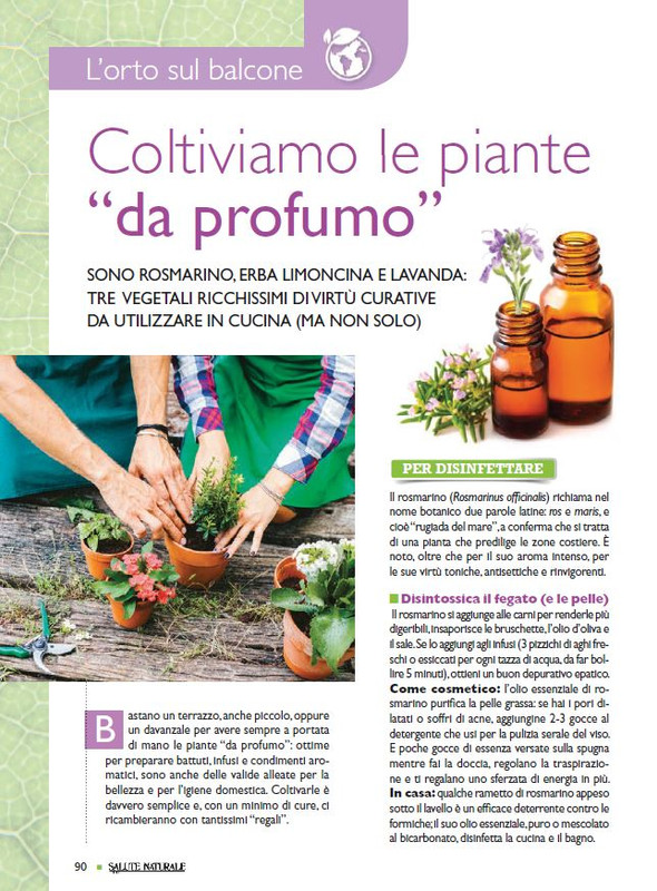 Sal Nat Lug 2021 (11)