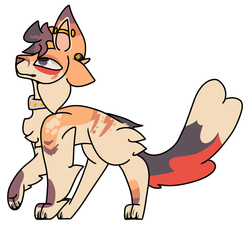 52641572_msCom95KzEs5jjg