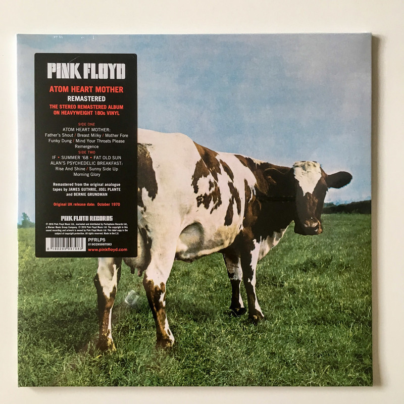 neue Platten (1 von 4)