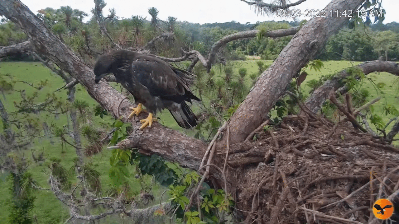 Webp.net-gifmaker (8)