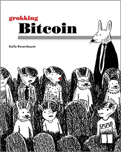 Grokking Bitcoin Grokking Bitcoin