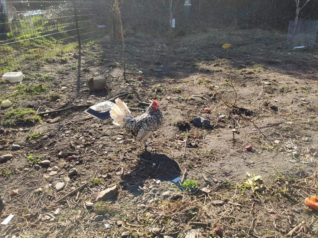 IMG-20210301-WA0002