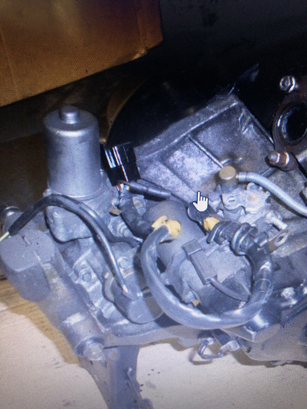 B7AF1941-29CD-48B0-925F-10F4B8F1917D