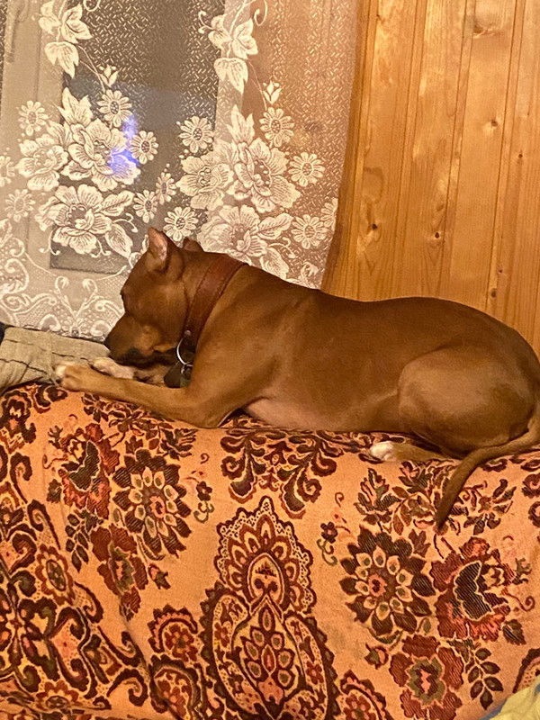 138873B1-293A-4668-9602-A11B25F4DAAB