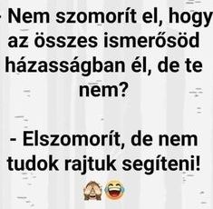 https://i.postimg.cc/15GRB9MW/nem-szomorit-el.jpg