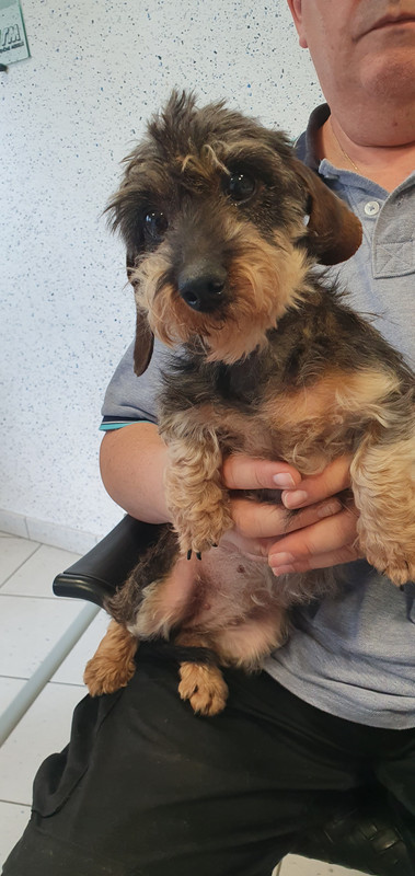 [Image: 20230509-181614.jpg]