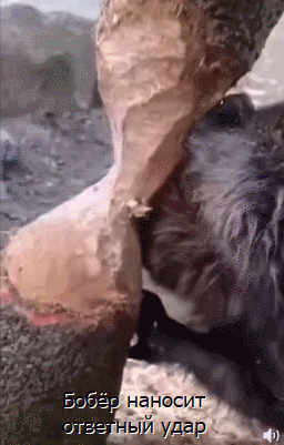 GIF-16-07-2025-17-16-19.gif