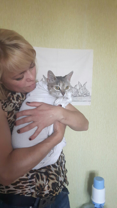 изображение_viber_2019-07-20_09-53-10