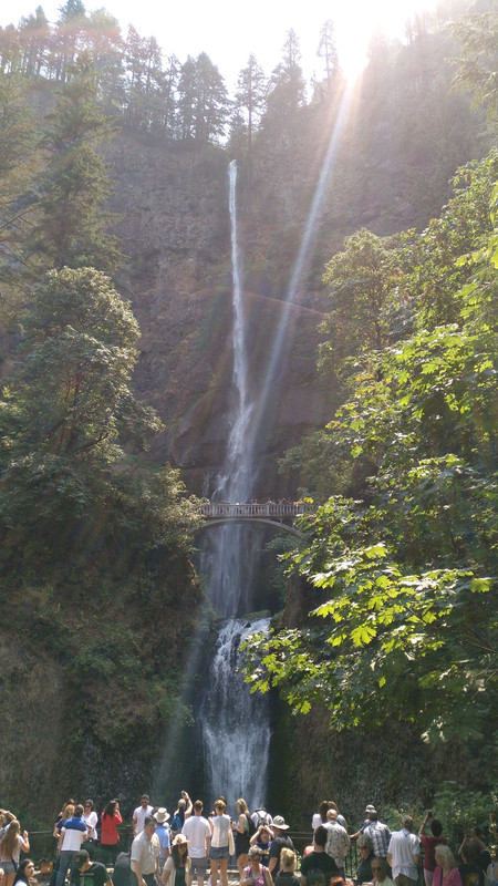 Árboles gigantes, fuegos y volcanes extintos - Oregon y California norte (2018) - Blogs de USA - Centro, Columbia River Gorge y Mount Hood (18)
