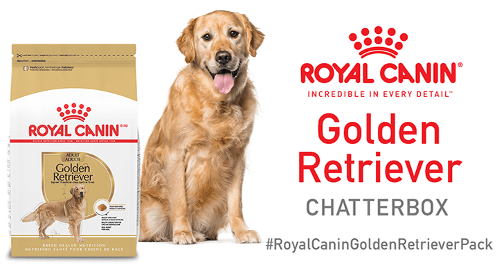 Get a Free Royal Canin Golden Retriever Chatterbox Pack for Your Furry Friend