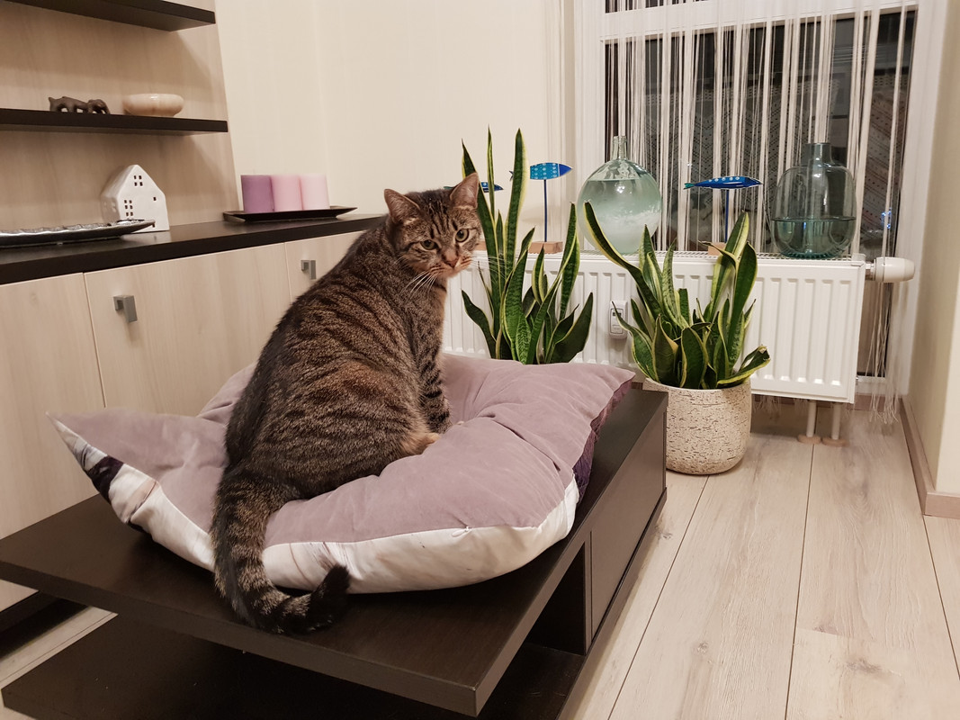 20190929-221245.jpg