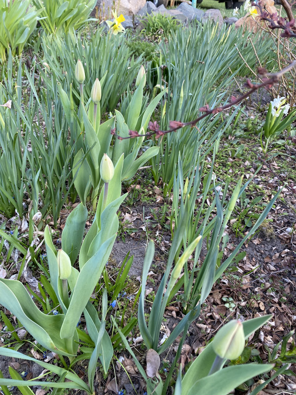 AC29CA09-44F8-4967-9806-F06A9D7F1E77