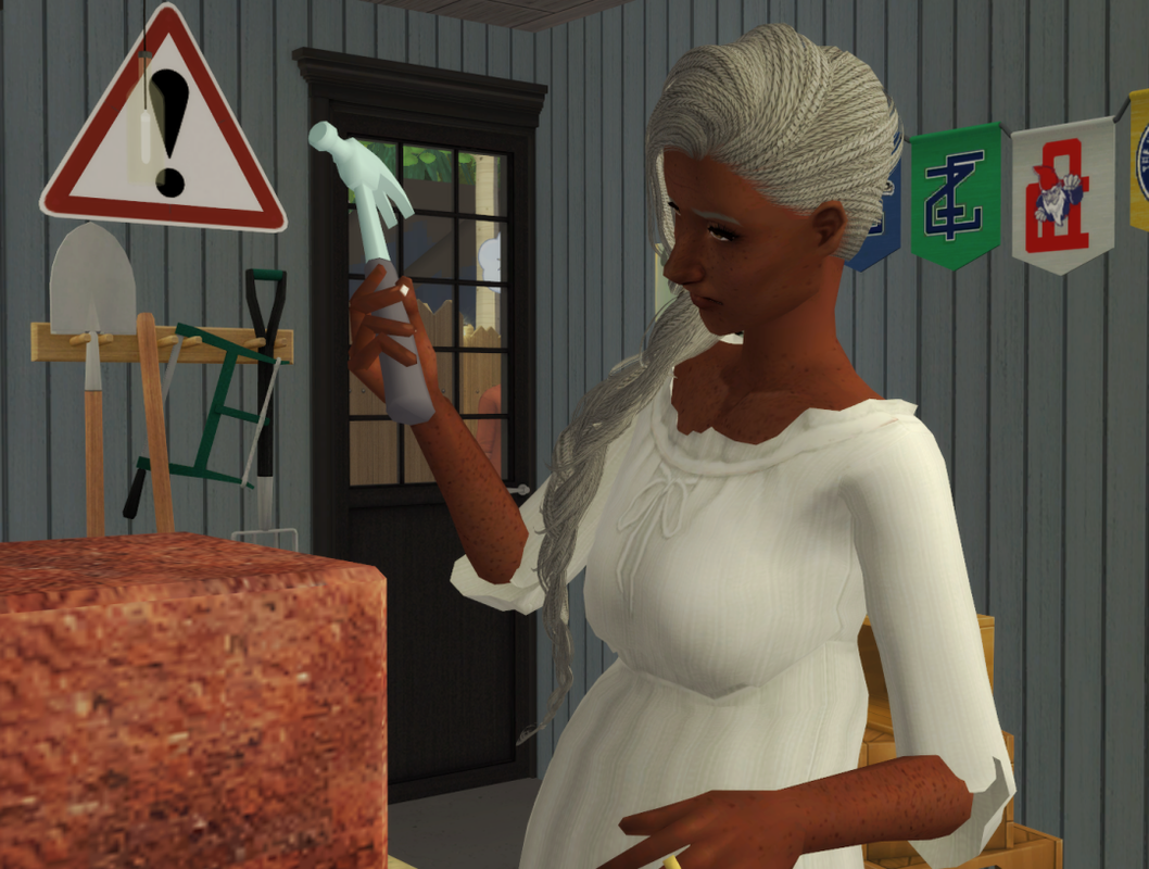 Sims2-EP9-RPC-2023-02-25-19-21-33-69